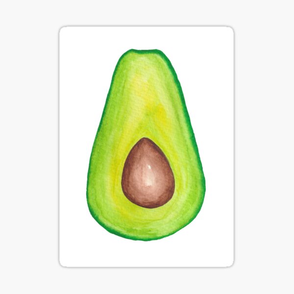 Detail Avocado Bilder Gezeichnet Nomer 15