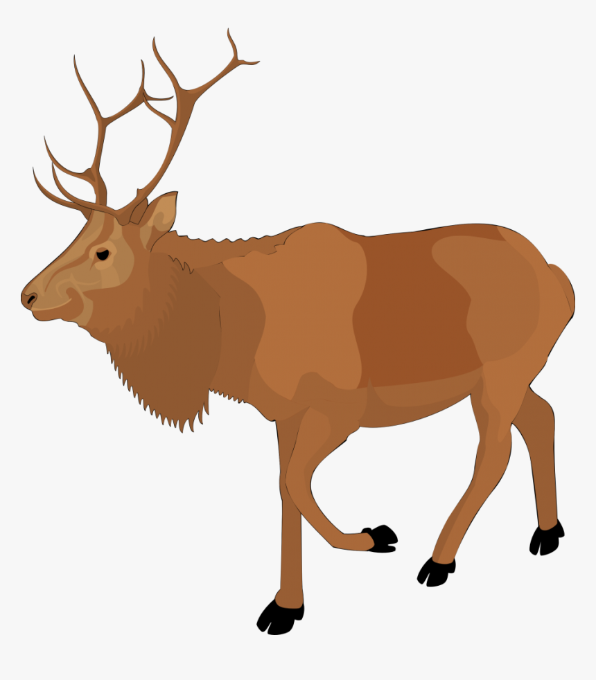 Elk Png - KibrisPDR