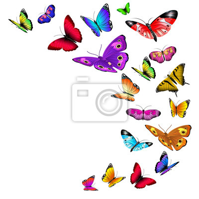 Detail Fliegender Schmetterling Zeichnen Nomer 27