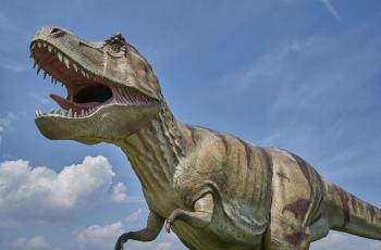 Detail Gambar Hewan Dinosaurus Nomer 16