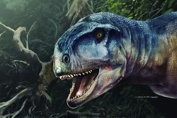 Detail Gambar Hewan Dinosaurus Nomer 25