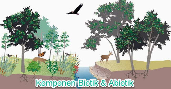 Detail Gambar Hewan Ekosistem Gambar Pohon Nomer 50
