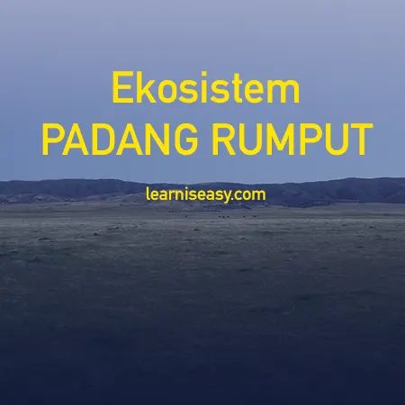 Detail Gambar Hewan Ekosistem Gambar Rumput Nomer 29