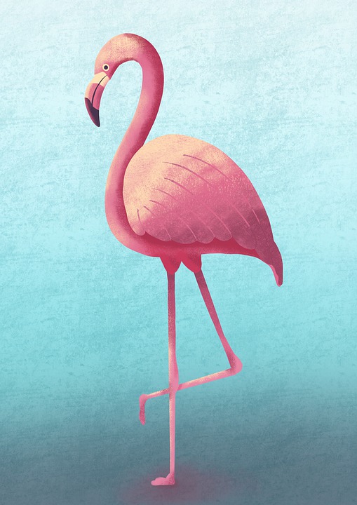 Detail Gambar Hewan Flamingo Nomer 14