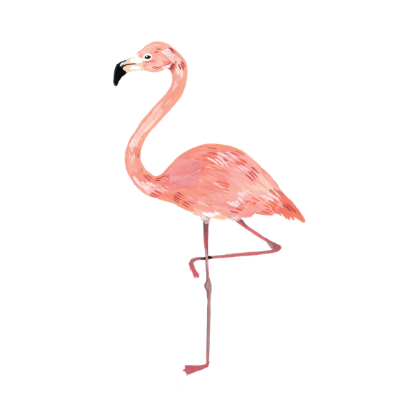 Detail Gambar Hewan Flamingo Nomer 28