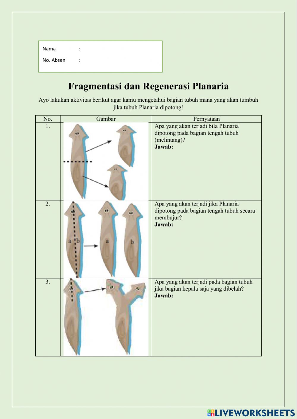 Detail Gambar Hewan Fragmentasi Nomer 30