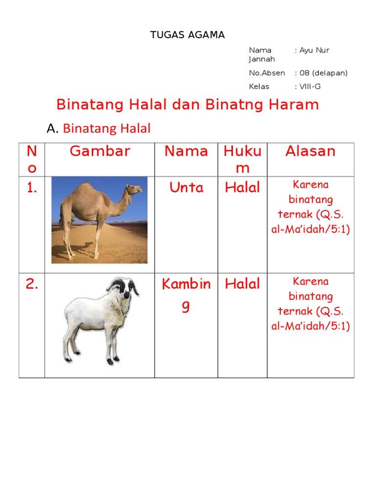 Detail Gambar Hewan Halal Dan Haram Nomer 20