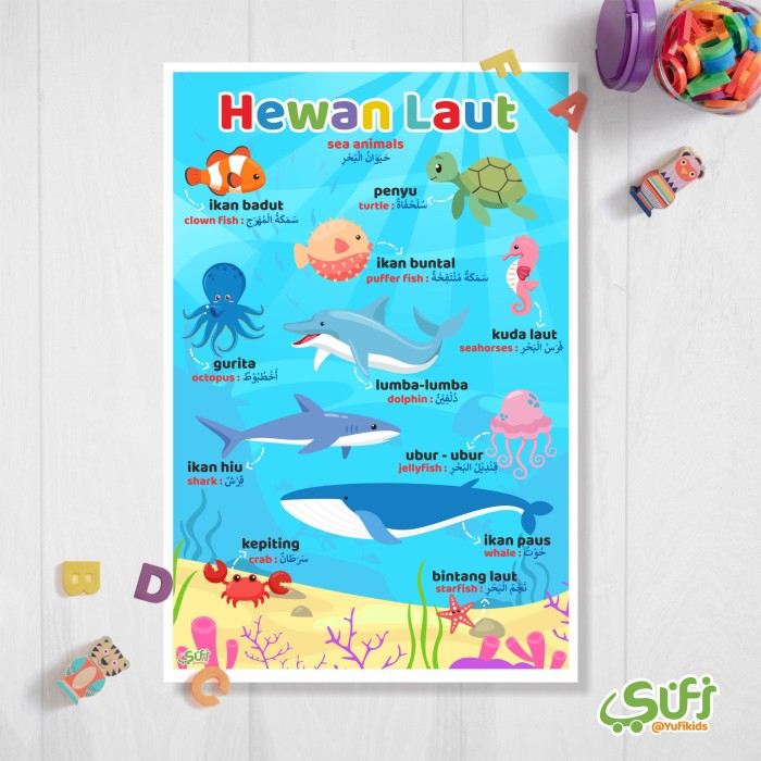 Detail Gambar Hewan Hewan Laut Nomer 26