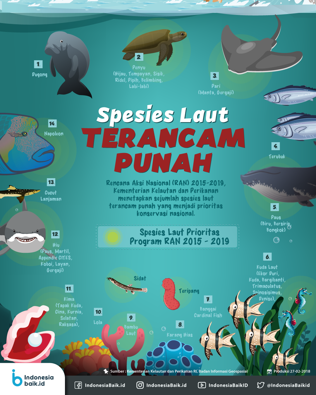 Detail Gambar Hewan Hewan Laut Nomer 29