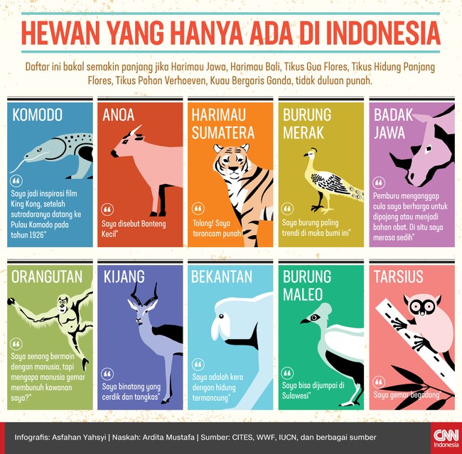 Detail Gambar Hewan Indonesia Nomer 30