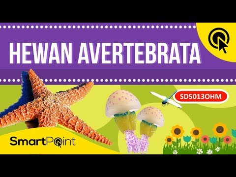 Detail Gambar Hewan Invertebrata Nomer 41