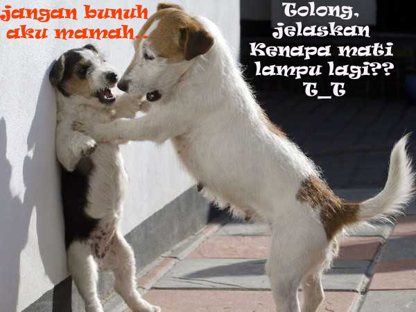 Detail Gambar Hewan Kata Kata Lucu Nomer 2