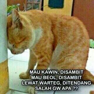 Detail Gambar Hewan Kata Kata Lucu Nomer 14