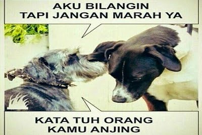 Detail Gambar Hewan Kata Kata Lucu Nomer 17