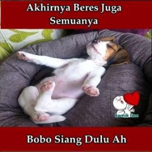 Detail Gambar Hewan Kata Kata Lucu Nomer 32