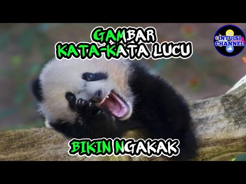 Detail Gambar Hewan Kata Kata Lucu Nomer 33