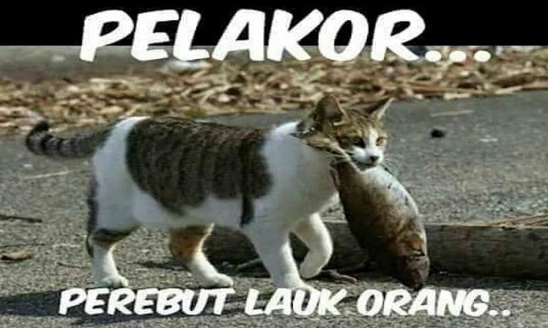 Detail Gambar Hewan Kata Kata Lucu Nomer 6