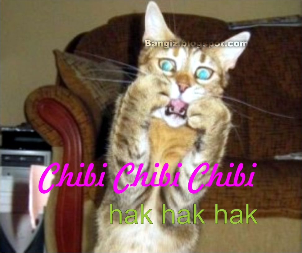 Detail Gambar Hewan Kata Kata Lucu Nomer 8