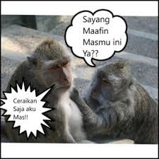 Detail Gambar Hewan Kata Kata Lucu Nomer 10
