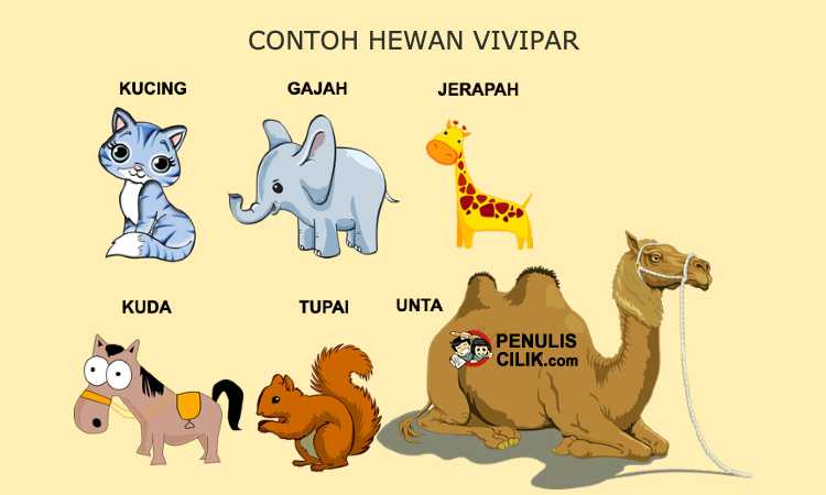 Detail Gambar Hewan Ovipar Vivipar Ovovivipar Nomer 26