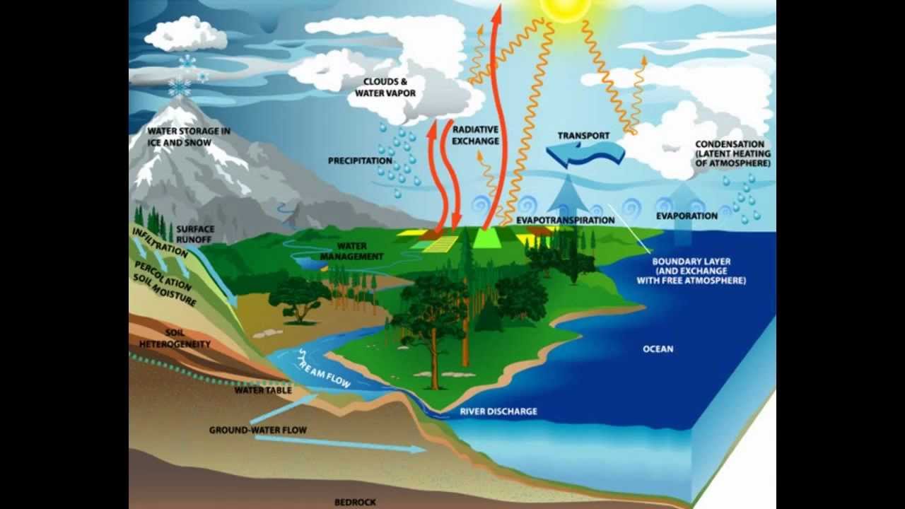 Detail Gambar Hidrologi Animasi Nomer 20