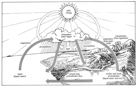 Detail Gambar Hidrologi Animasi Nomer 39