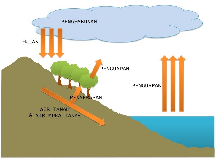 Detail Gambar Hidrologi Animasi Nomer 43