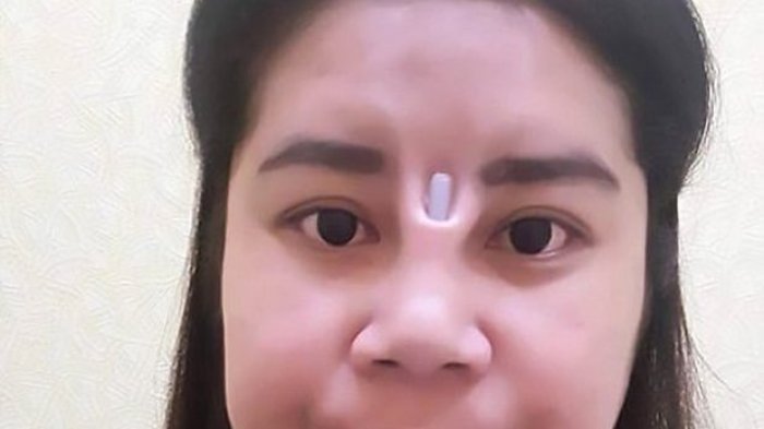 Detail Gambar Hidung Mancung Dan Pesek Nomer 34