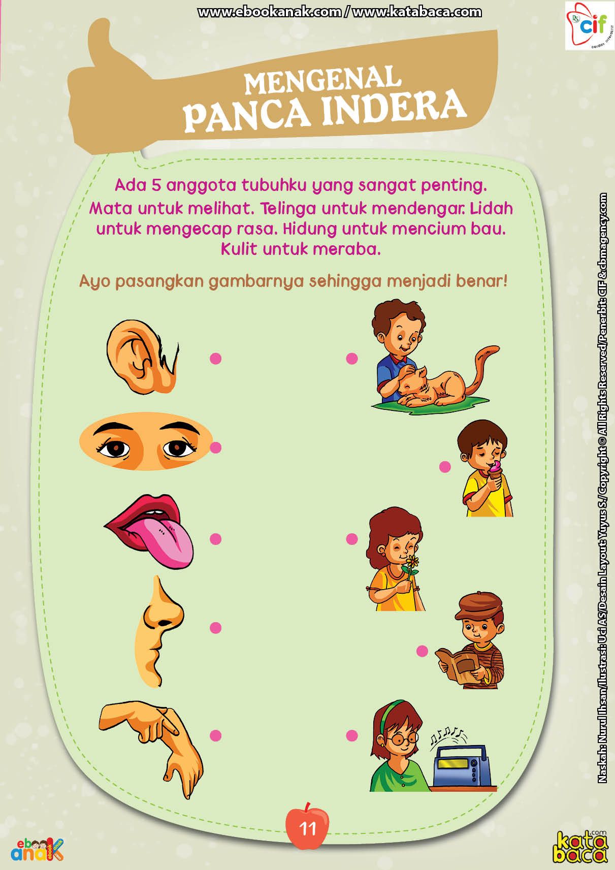 Detail Gambar Hidung Untuk Anak Tk Nomer 11