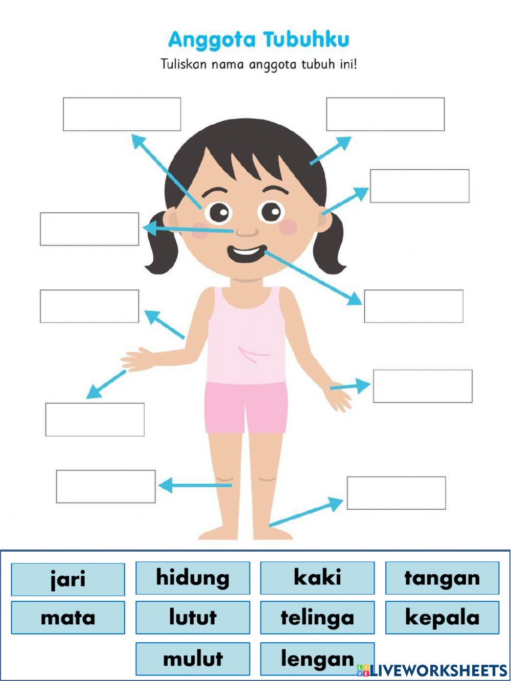 Detail Gambar Hidung Untuk Anak Tk Nomer 44