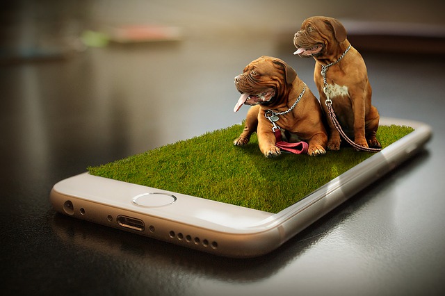 Detail Gambar Hidup Wallpaper Nomer 49