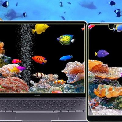 Detail Gambar Hidup Wallpaper Nomer 58