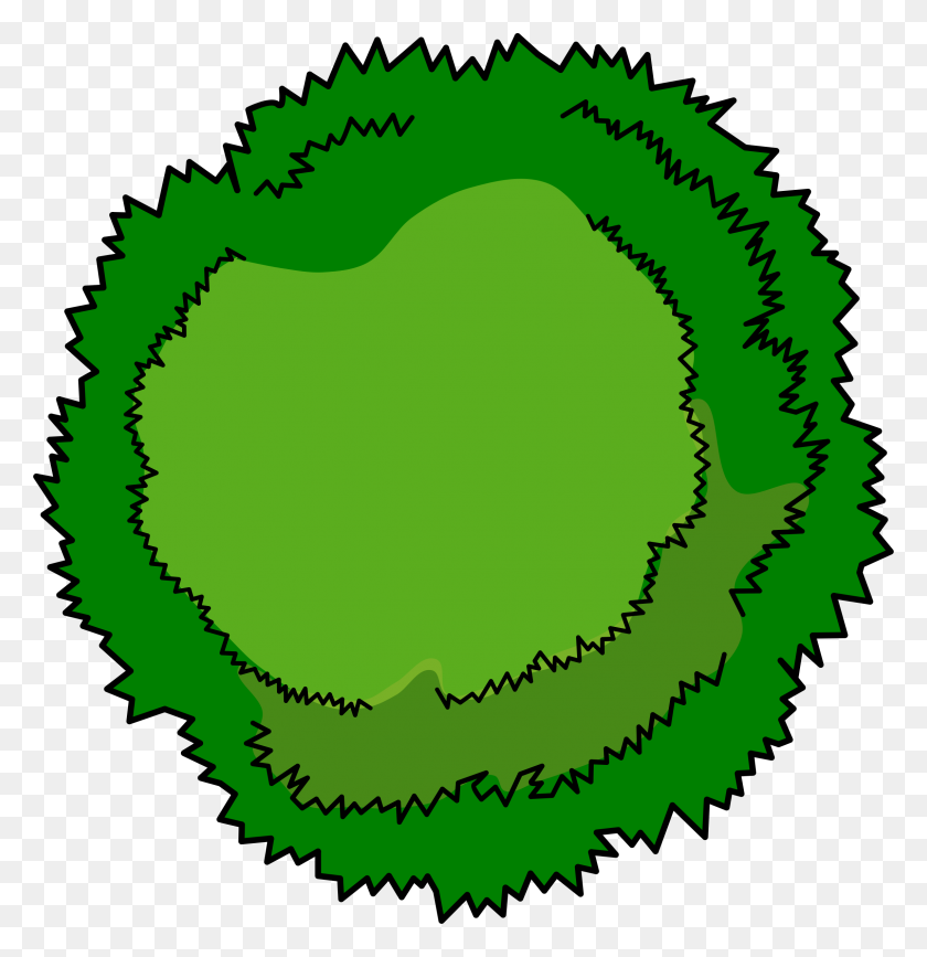 Detail Tree Top View Png Nomer 3