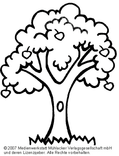 Detail Apfelbaum Zeichnung Nomer 6
