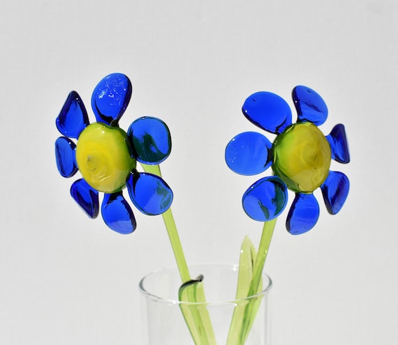 Blaue Blume Mit Langem Stiel - KibrisPDR