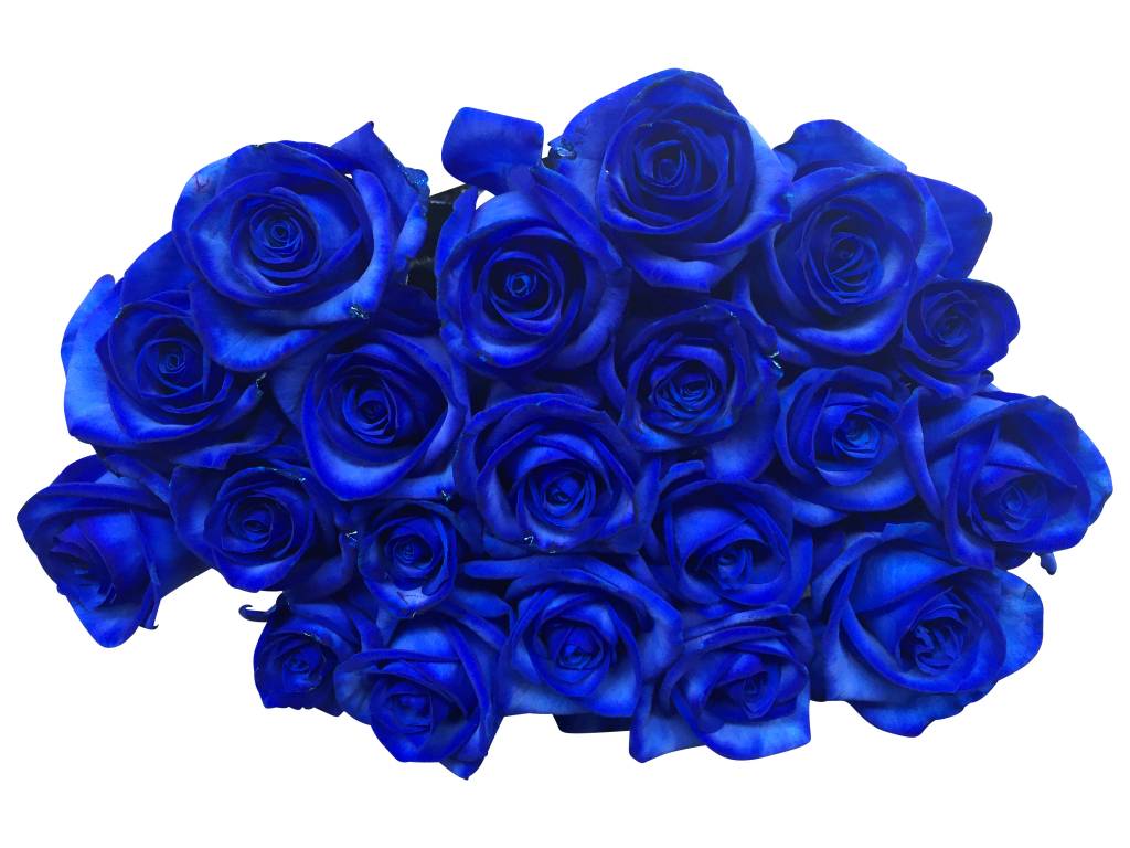 Detail Blaue Blume Mit Langem Stiel Nomer 14