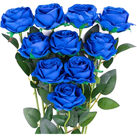 Detail Blaue Blume Mit Langem Stiel Nomer 15