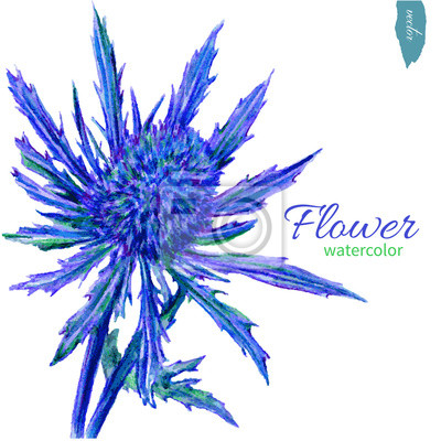 Detail Blaue Blume Mit Langem Stiel Nomer 16
