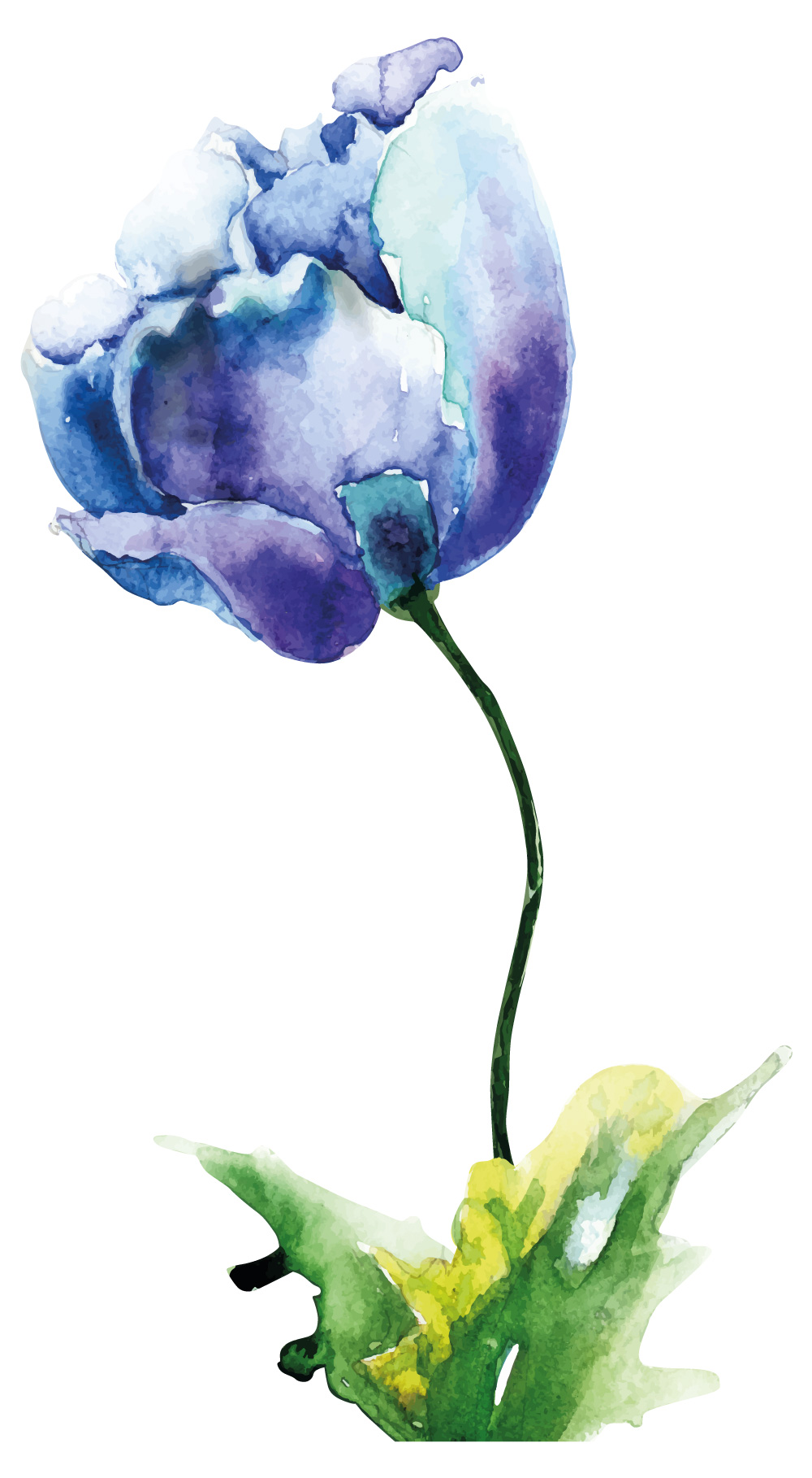 Detail Blaue Blume Mit Langem Stiel Nomer 18