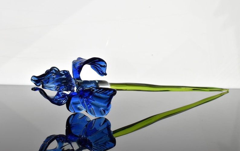 Detail Blaue Blume Mit Langem Stiel Nomer 20
