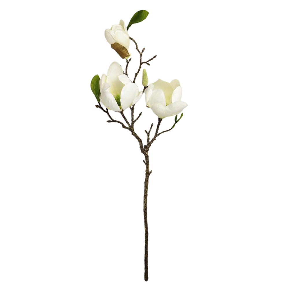Detail Blaue Blume Mit Langem Stiel Nomer 22