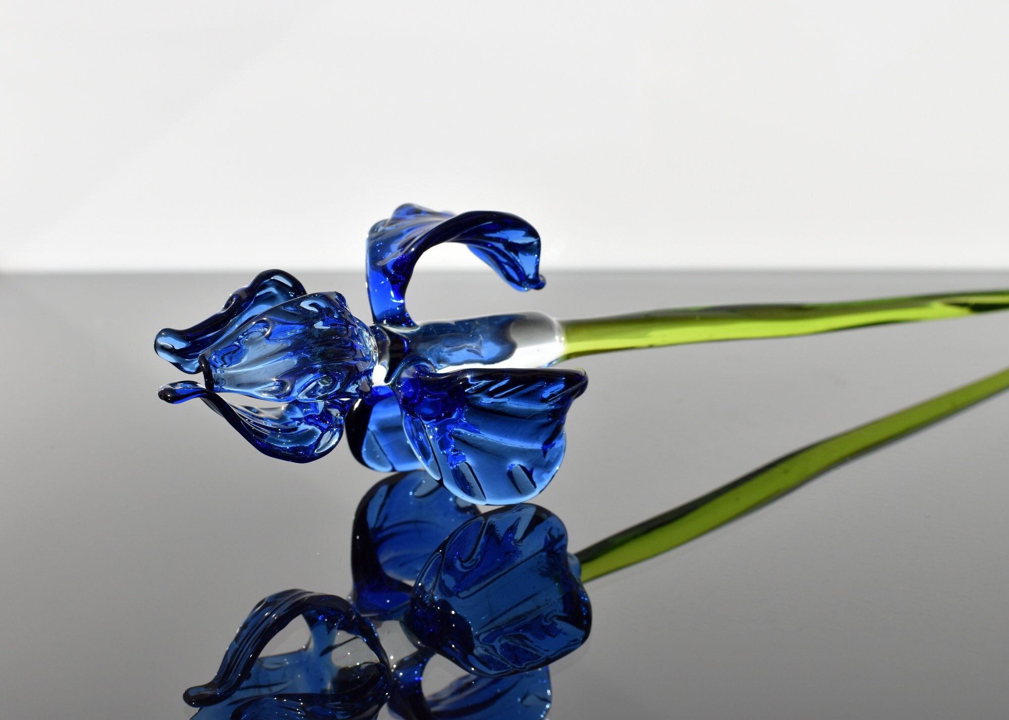 Detail Blaue Blume Mit Langem Stiel Nomer 23