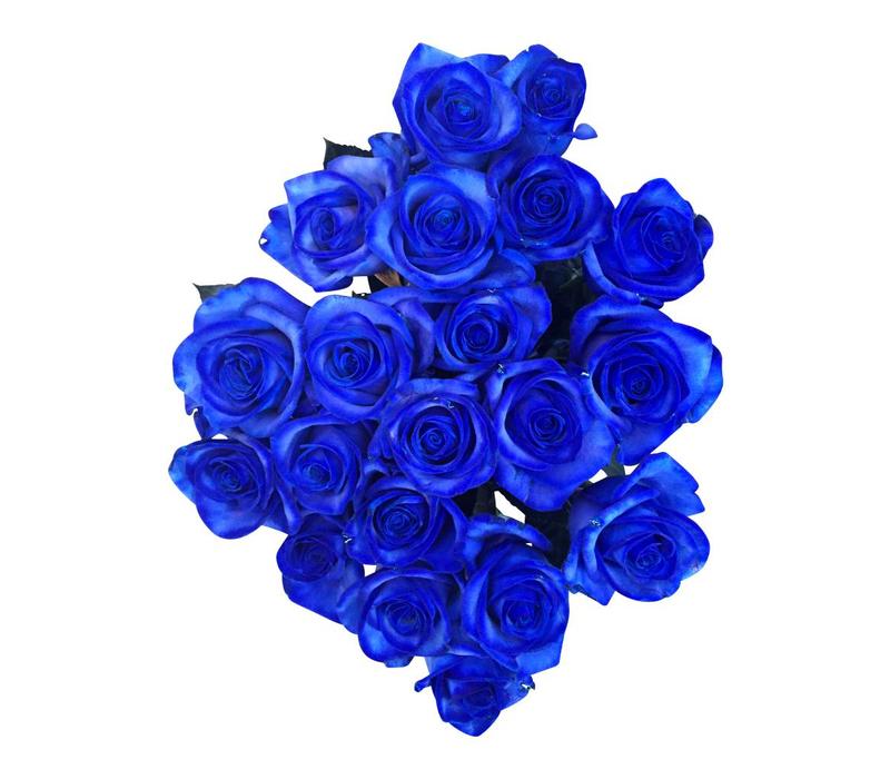 Detail Blaue Blume Mit Langem Stiel Nomer 3