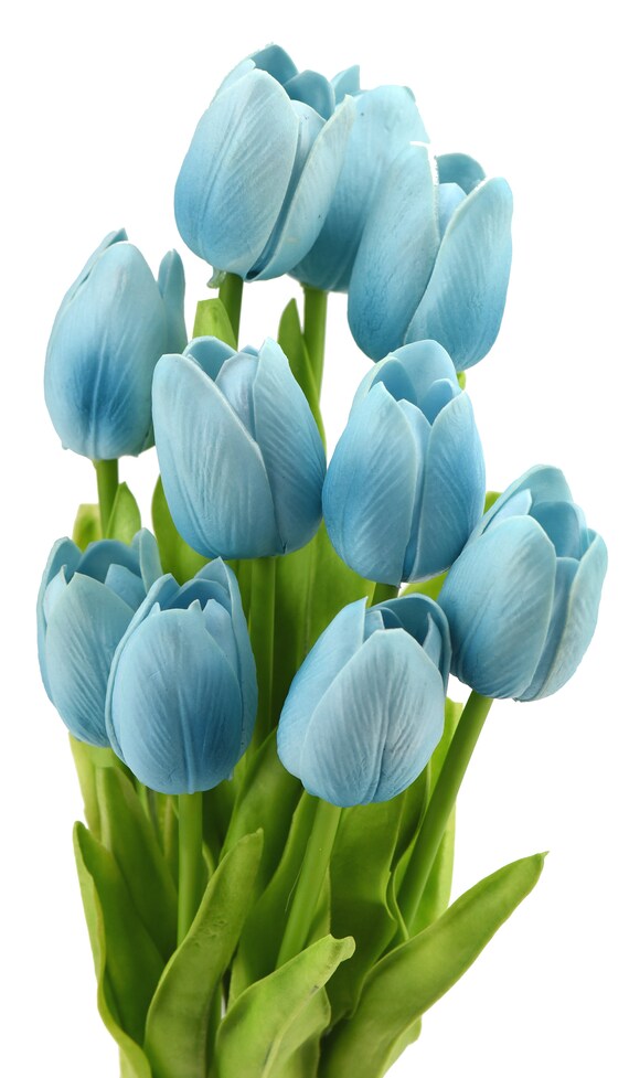 Detail Blaue Blume Mit Langem Stiel Nomer 5