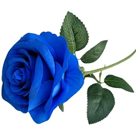 Detail Blaue Blume Mit Langem Stiel Nomer 7