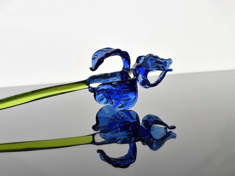 Detail Blaue Blume Mit Langem Stiel Nomer 8