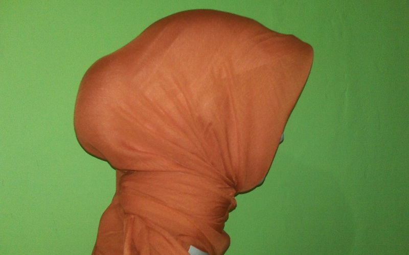 Detail Gambar Hijab Punuk Unta Nomer 5