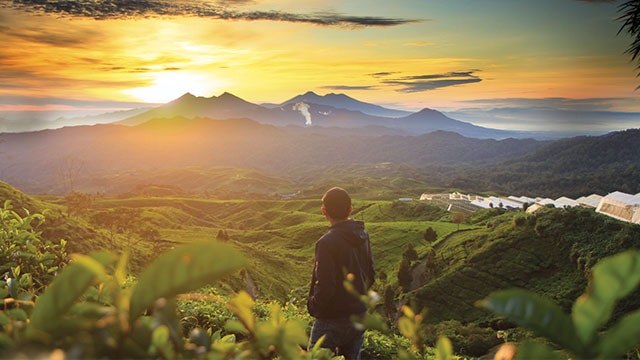 Detail Gambar Hiking Gunung Nomer 39