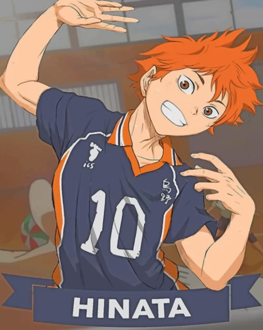 Detail Gambar Hinata Haikyuu Nomer 17