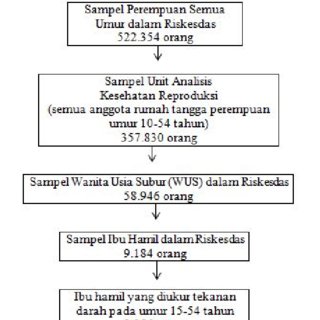 Detail Gambar Hipertensi Dalam Kehamilan Nomer 15